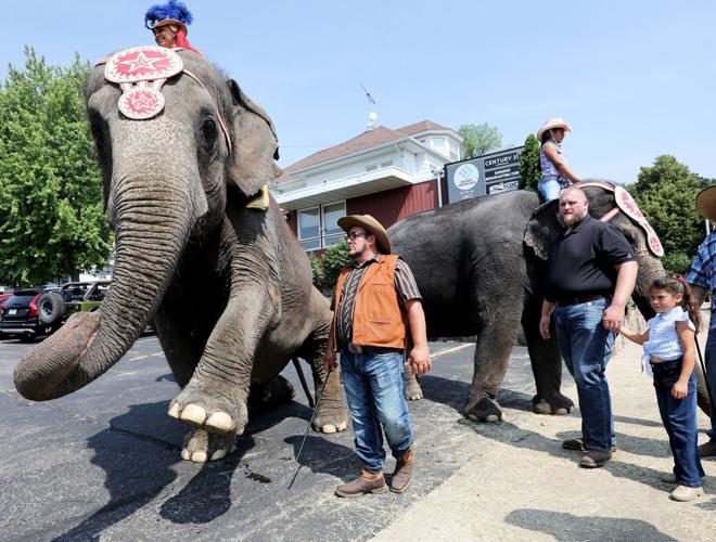 Circus Elephant Butte in Montana