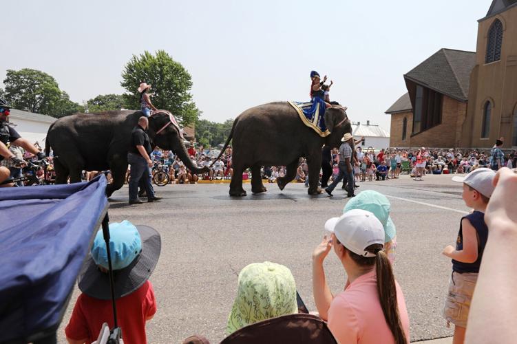 Circus Elephant Butte in Montana